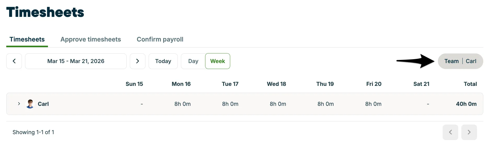 Timesheet team.png