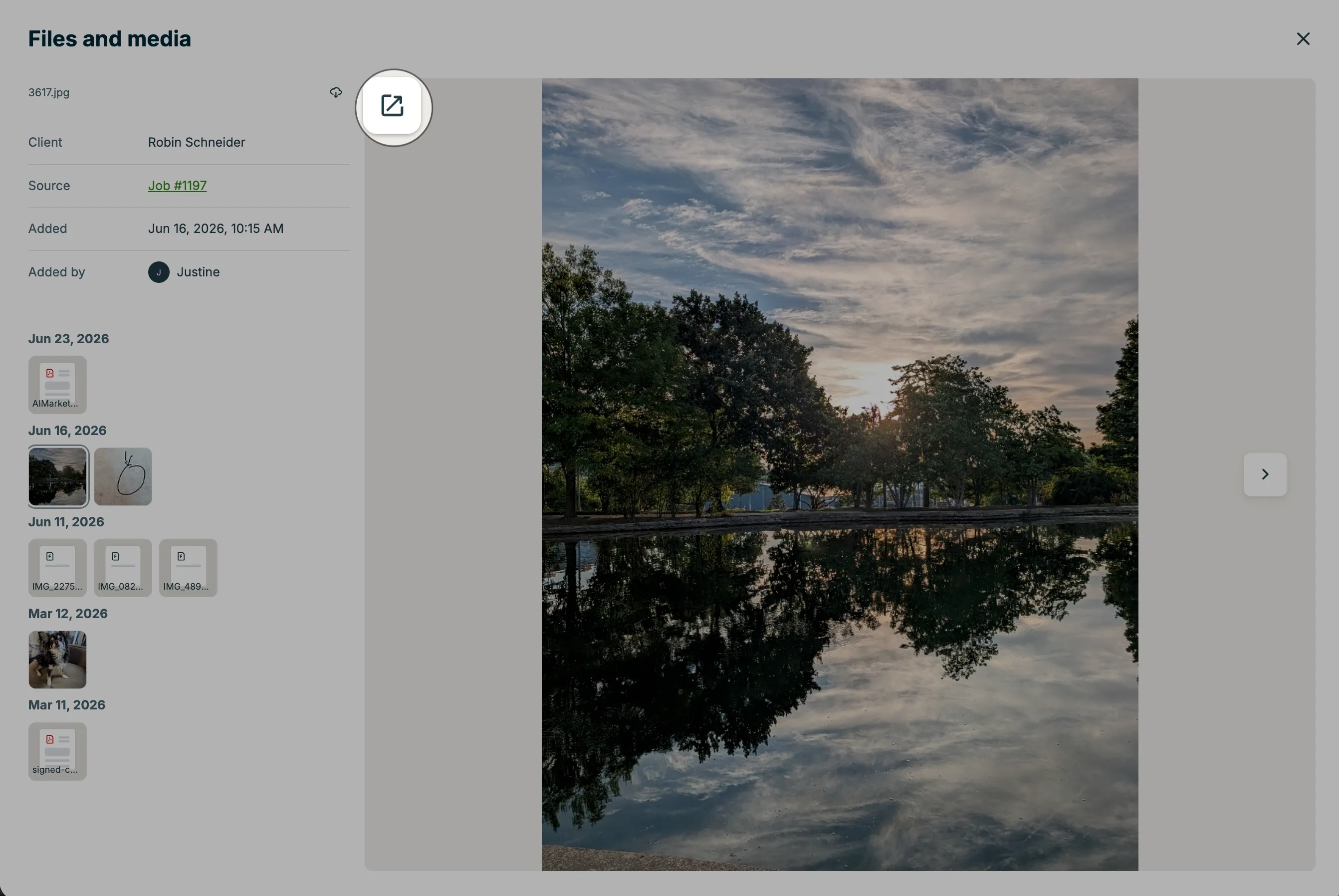 A screenshot highlighting the external link button in the expanded photo view.
